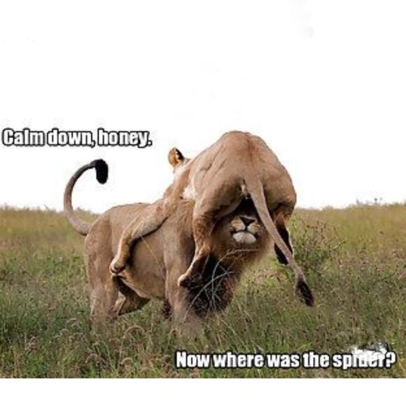 ISO Disney 50th Celebration McDonalds Toys For TRADE ONLY PFFS Girlsquad - Picture 14 of 15